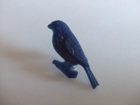 Zangvogel blauw